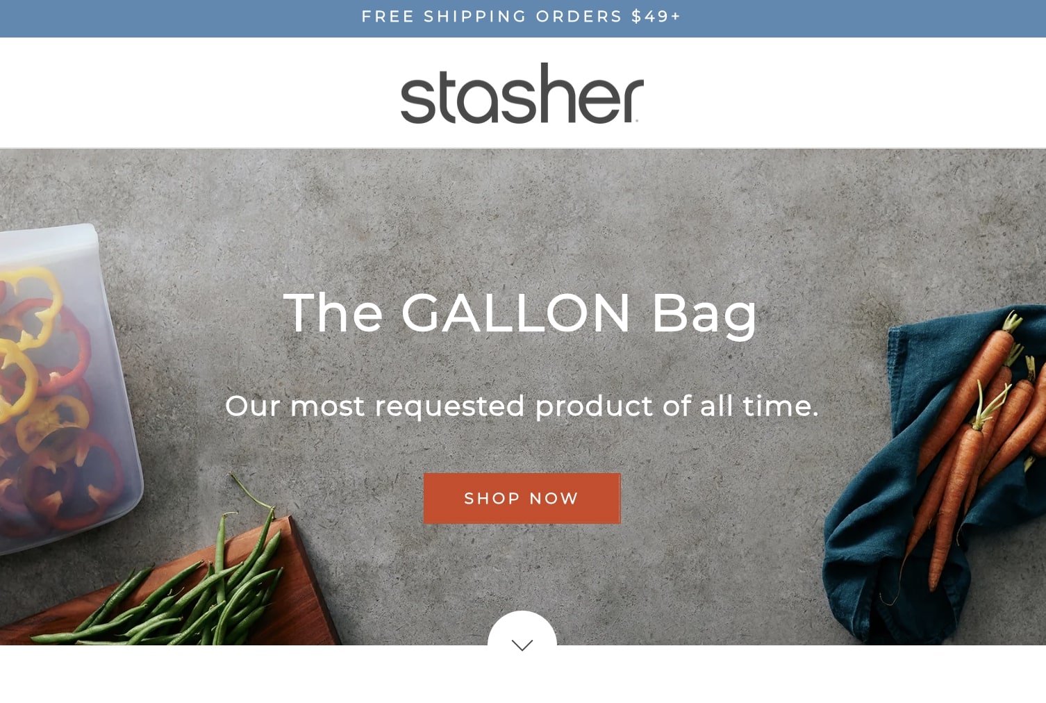 stasher brand review